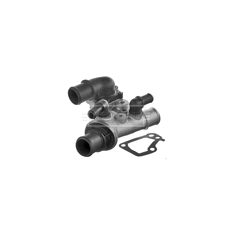 Thermostat d'eau BORG & BECK BBT254