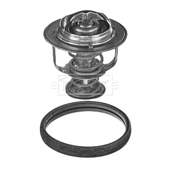Thermostat d'eau BORG & BECK BBT257