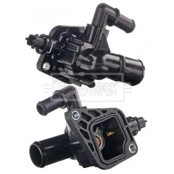 Thermostat d'eau BORG & BECK BBT271