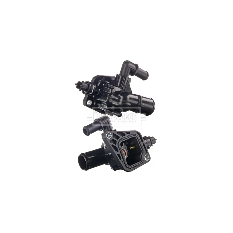 Thermostat d'eau BORG & BECK BBT271