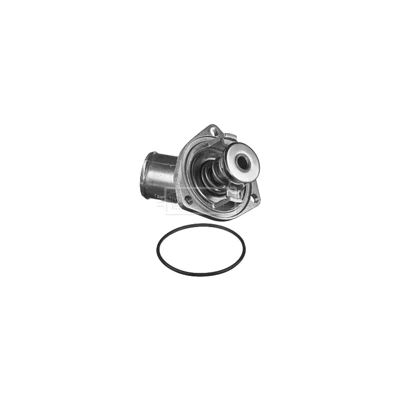Thermostat d'eau BORG & BECK BBT277
