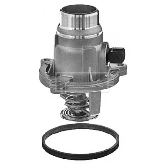 Thermostat d'eau BORG & BECK BBT286