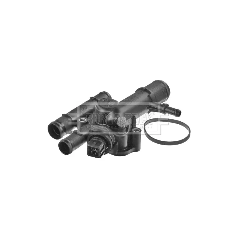 Thermostat d'eau BORG & BECK BBT295