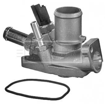 Thermostat d'eau BORG & BECK BBT296
