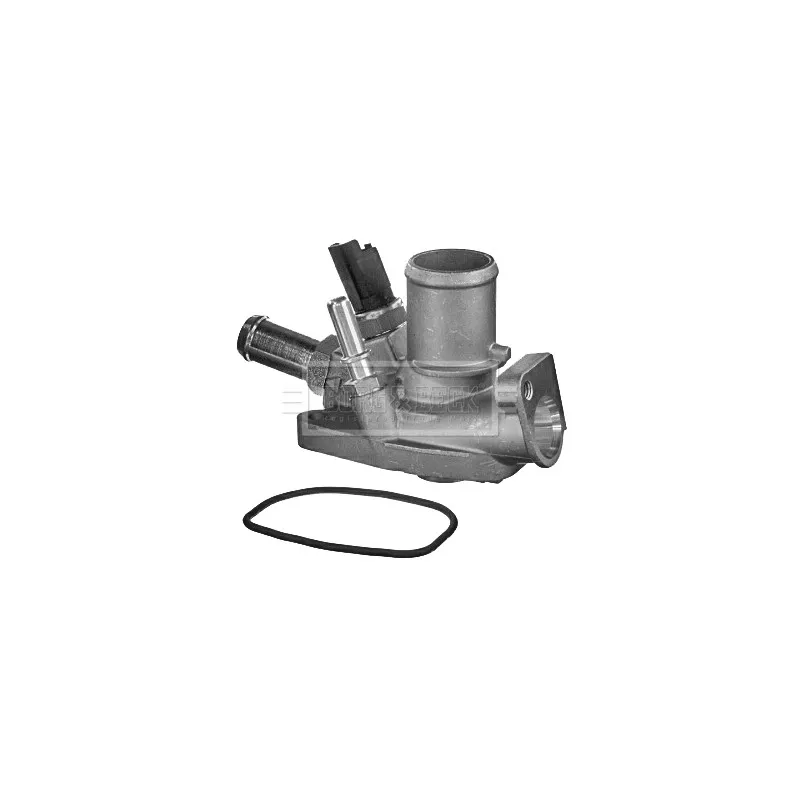 Thermostat d'eau BORG & BECK BBT296