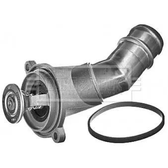 Thermostat d'eau BORG & BECK BBT302