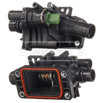Thermostat d'eau BORG & BECK BBT315