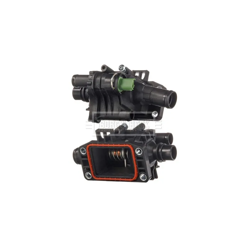 Thermostat d'eau BORG & BECK BBT315