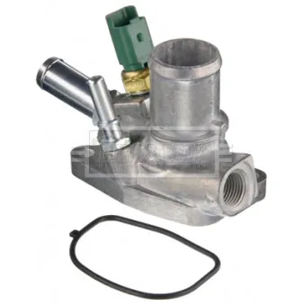 Thermostat d'eau BORG & BECK