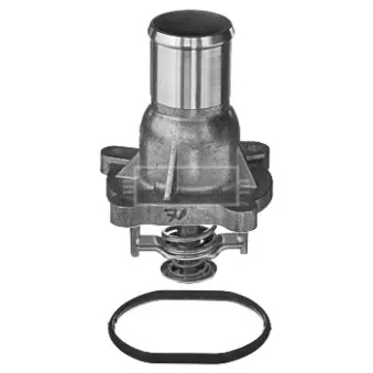 Thermostat d'eau BORG & BECK