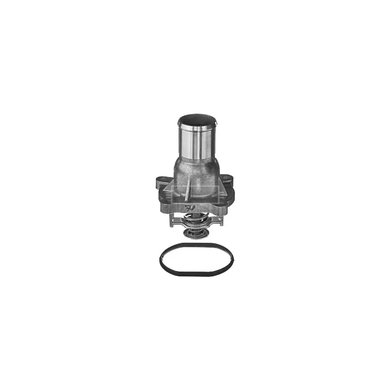 Thermostat d'eau BORG & BECK BBT335