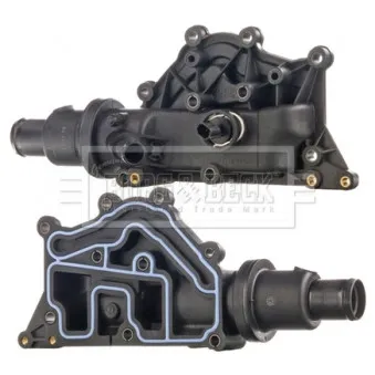Thermostat d'eau BORG & BECK BBT341