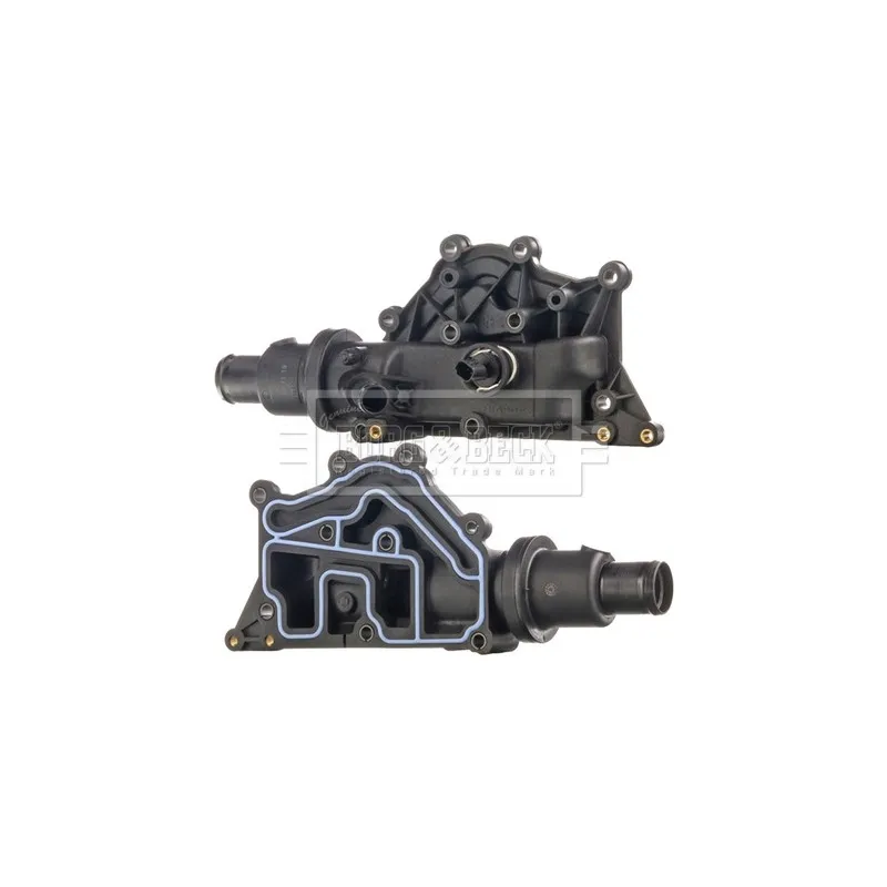 Thermostat d'eau BORG & BECK BBT341