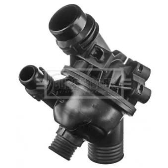 Thermostat d'eau BORG & BECK BBT343