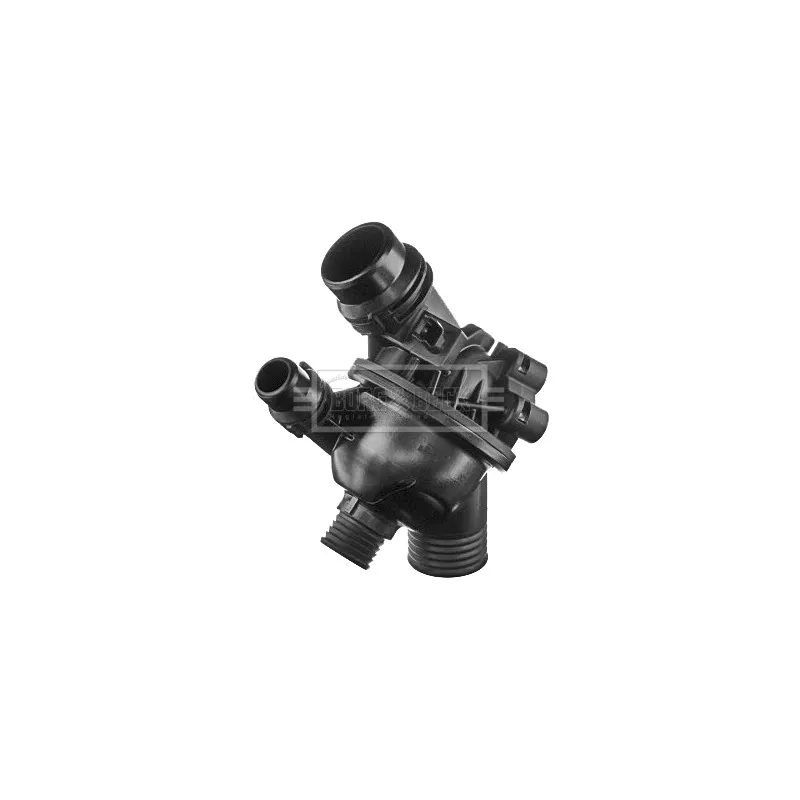 Thermostat d'eau BORG & BECK BBT343