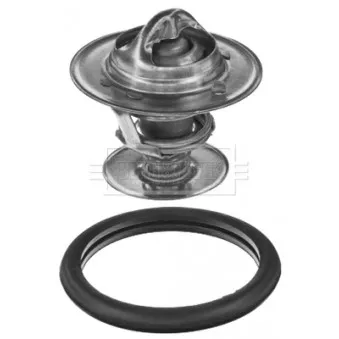 Thermostat d'eau BORG & BECK BBT347