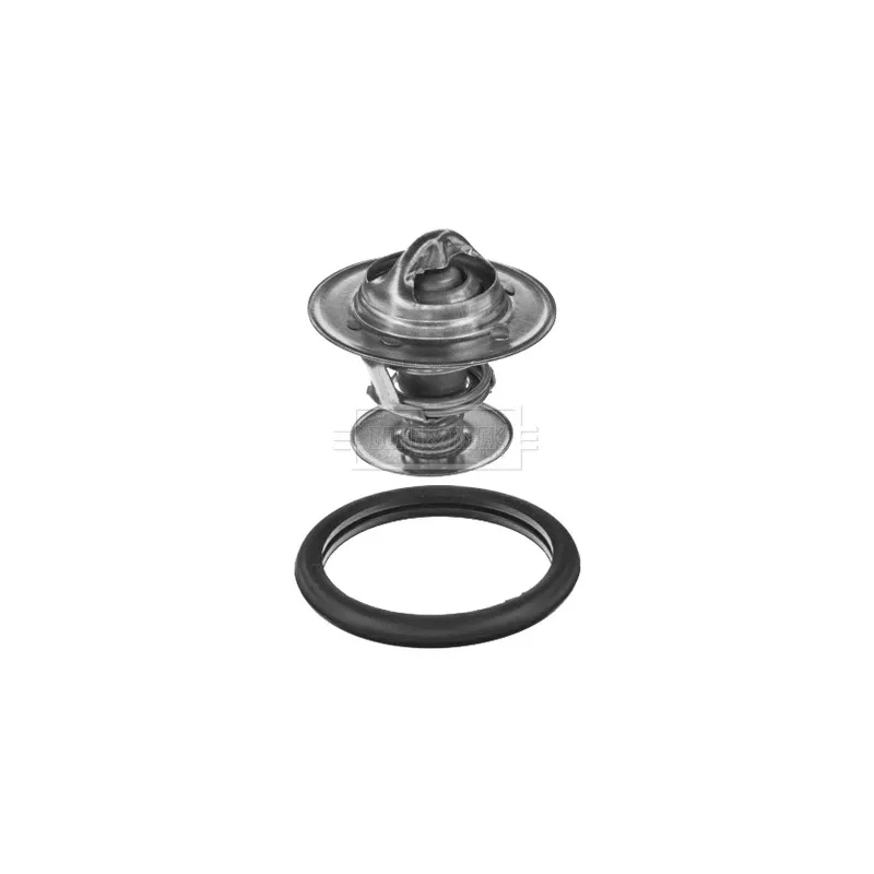 Thermostat d'eau BORG & BECK BBT347