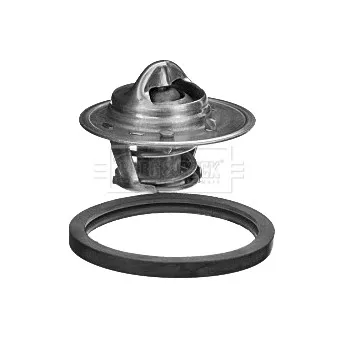 Thermostat d'eau BORG & BECK BBT348