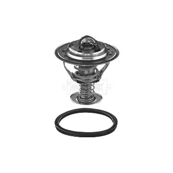 Thermostat d'eau BORG & BECK BBT349