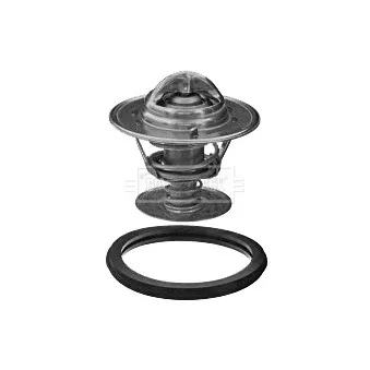Thermostat d'eau BORG & BECK BBT350