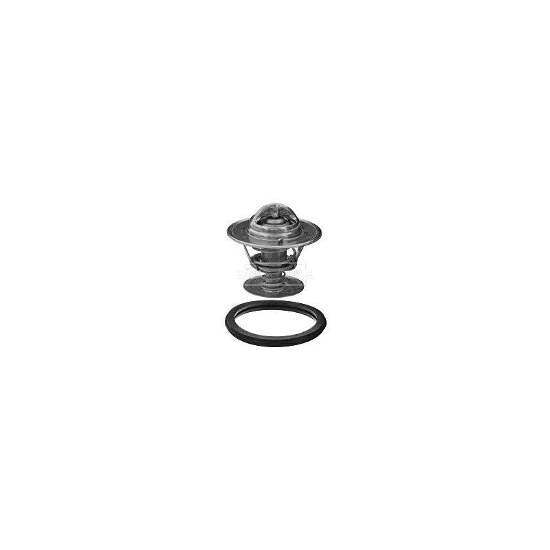 Thermostat d'eau BORG & BECK BBT350