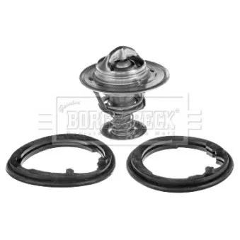Thermostat d'eau BORG & BECK BBT351