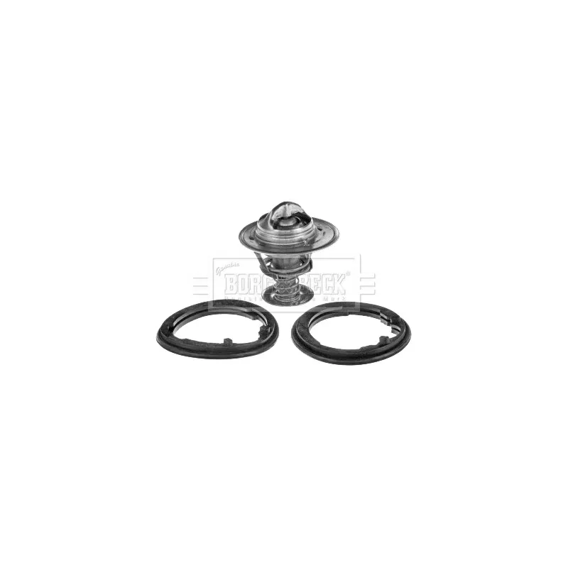 Thermostat d'eau BORG & BECK BBT351