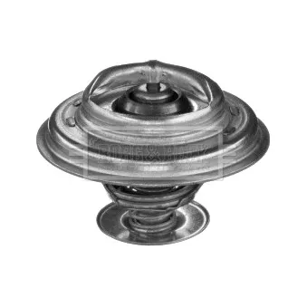 Thermostat d'eau BORG & BECK BBT353