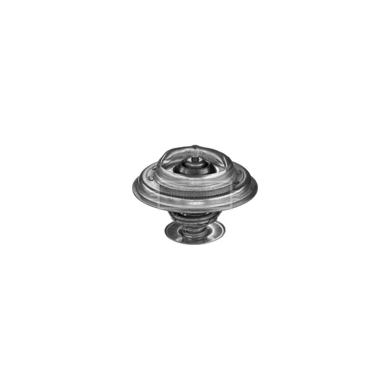 Thermostat d'eau BORG & BECK BBT353
