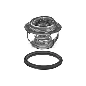 Thermostat d'eau BORG & BECK BBT354