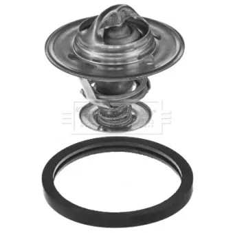 Thermostat d'eau BORG & BECK BBT356