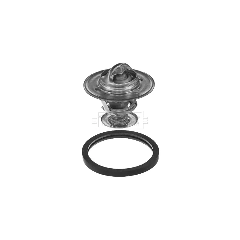 Thermostat d'eau BORG & BECK BBT356