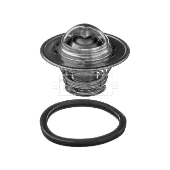 Thermostat d'eau BORG & BECK BBT357