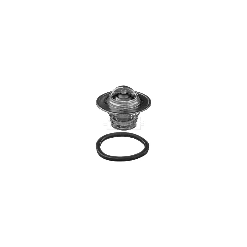 Thermostat d'eau BORG & BECK BBT357