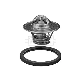 Thermostat d'eau BORG & BECK BBT359