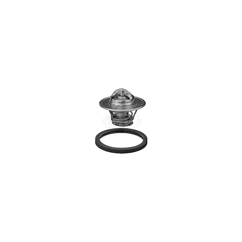 Thermostat d'eau BORG & BECK BBT359