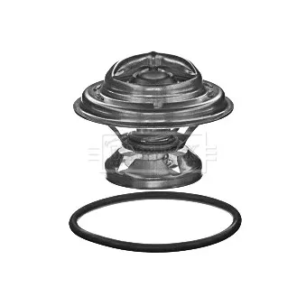 Thermostat d'eau BORG & BECK BBT360