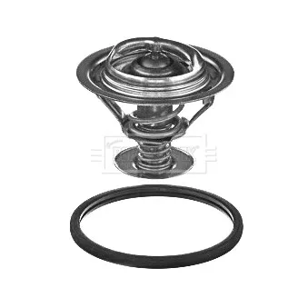 Thermostat d'eau BORG & BECK BBT361