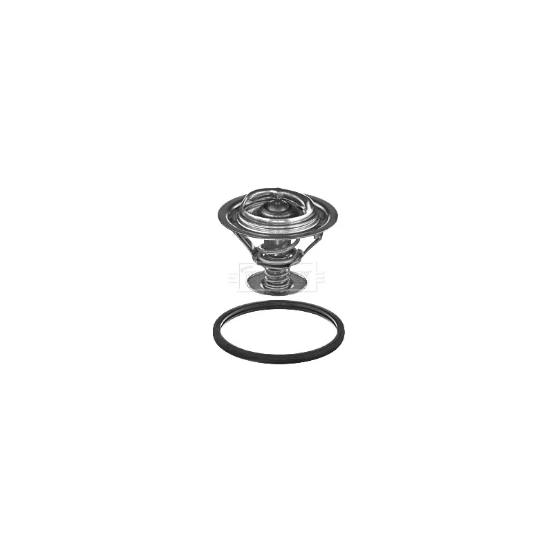 Thermostat d'eau BORG & BECK BBT361