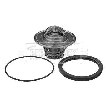 Thermostat d'eau BORG & BECK BBT362