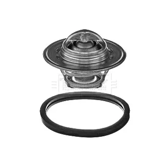 Thermostat d'eau BORG & BECK BBT365