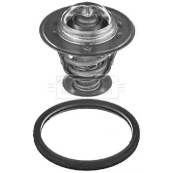 Thermostat d'eau BORG & BECK BBT367