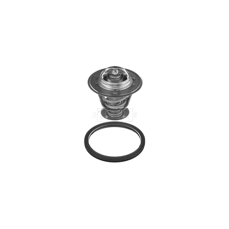 Thermostat d'eau BORG & BECK BBT367