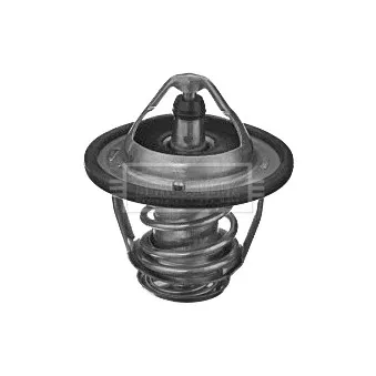 Thermostat d'eau BORG & BECK BBT373