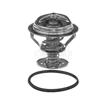 Thermostat d'eau BORG & BECK BBT374