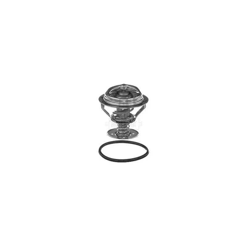 Thermostat d'eau BORG & BECK BBT374
