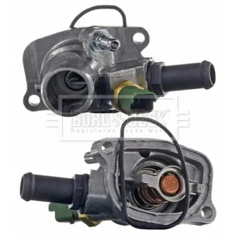 Thermostat d'eau BORG & BECK BBT377