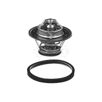 Thermostat d'eau BORG & BECK BBT381