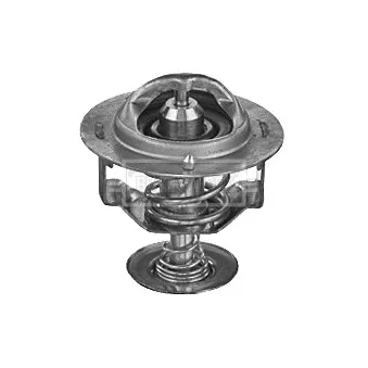 Thermostat d'eau BORG & BECK BBT383