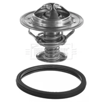 Thermostat d'eau BORG & BECK BBT384